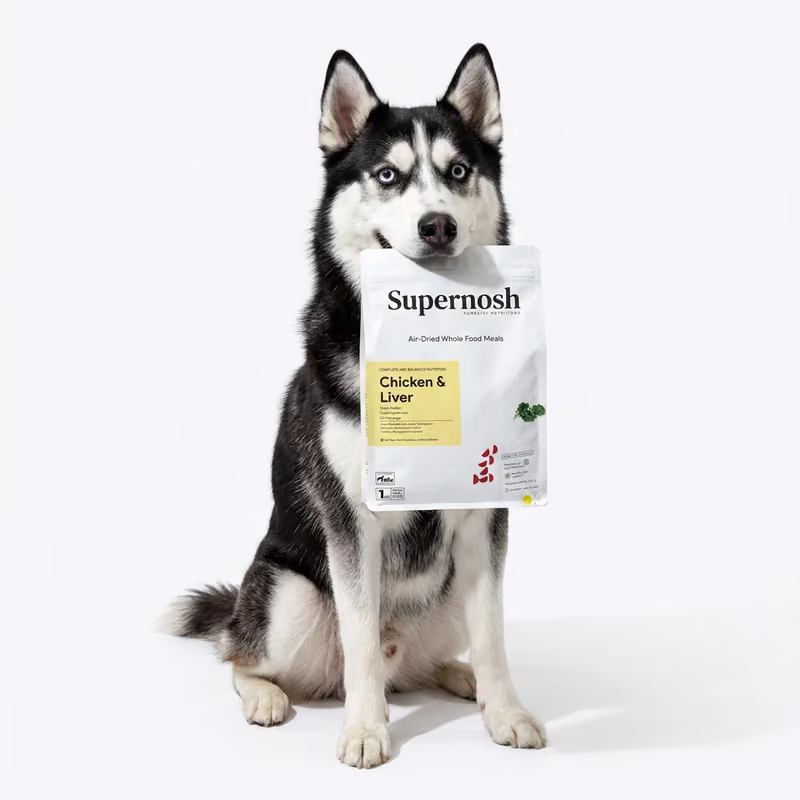 Supernosh dog