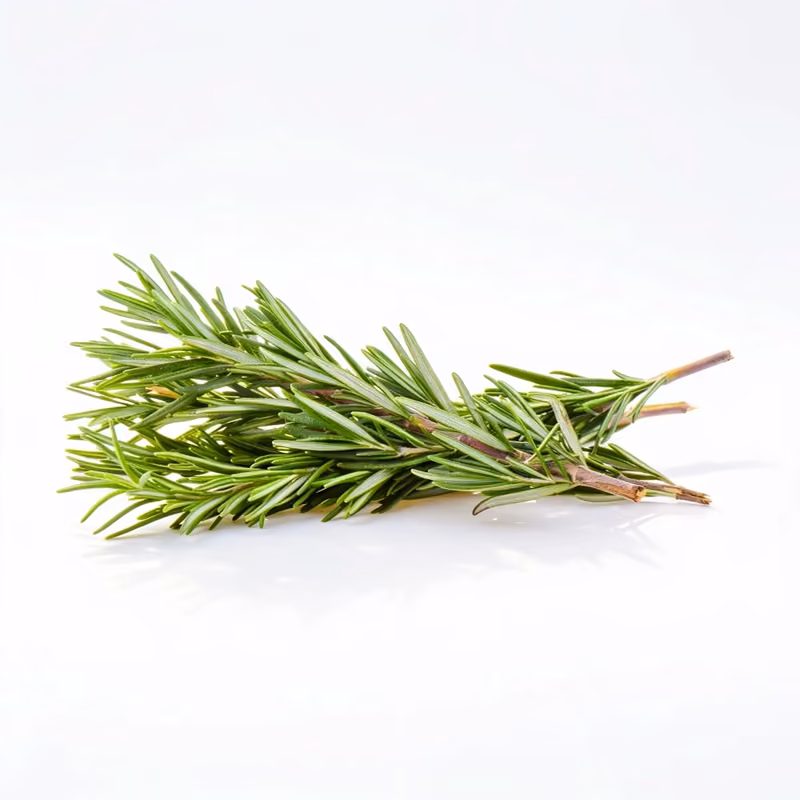 Rosemary